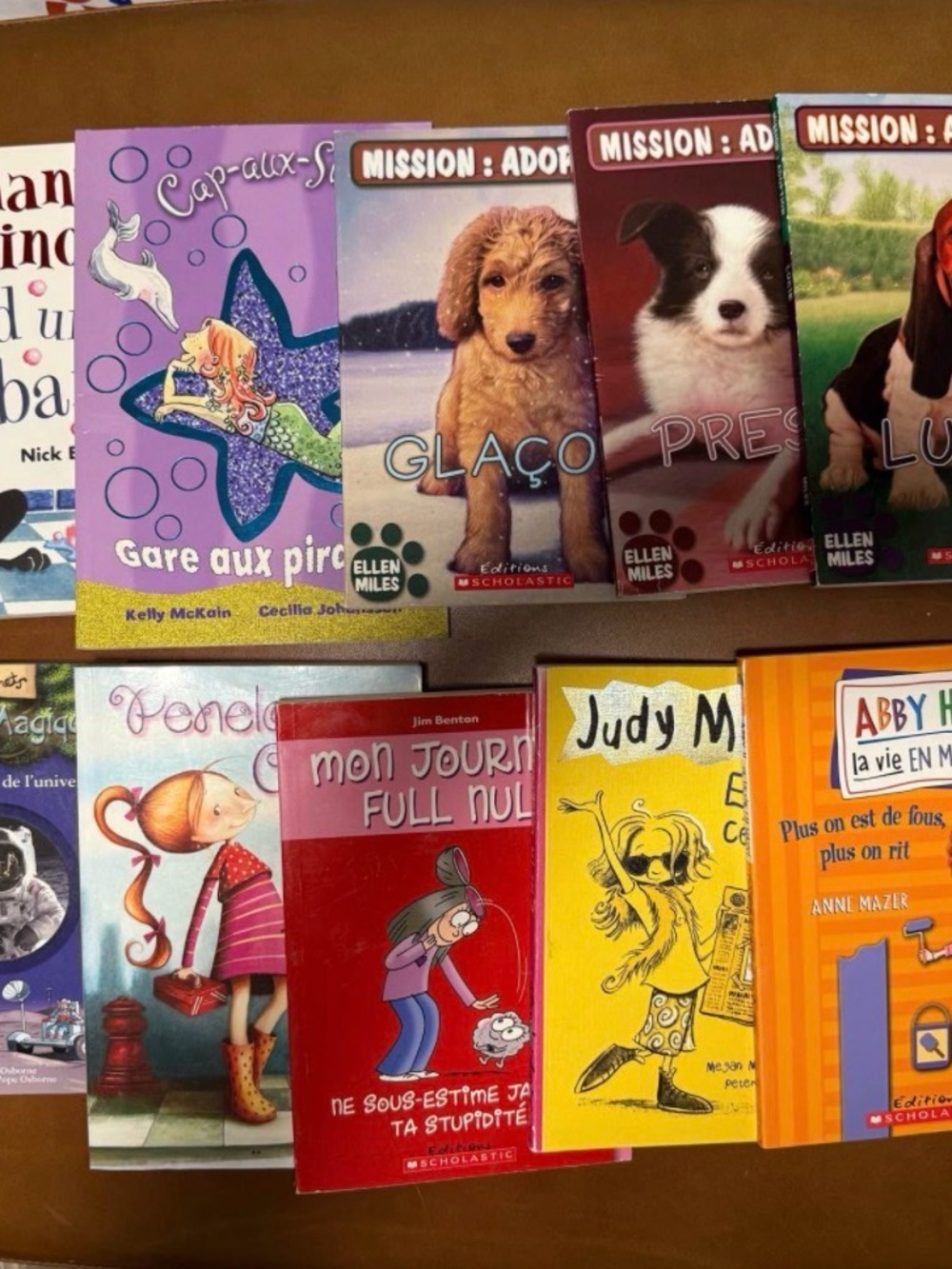 French Kids Book Bundle | 15 Books | Popular Scholastic Titles